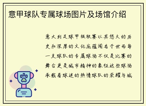 意甲球队专属球场图片及场馆介绍